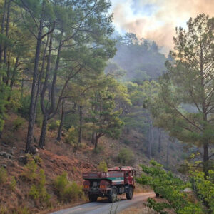 mersinde orman yangini cikti kPyDkJqy