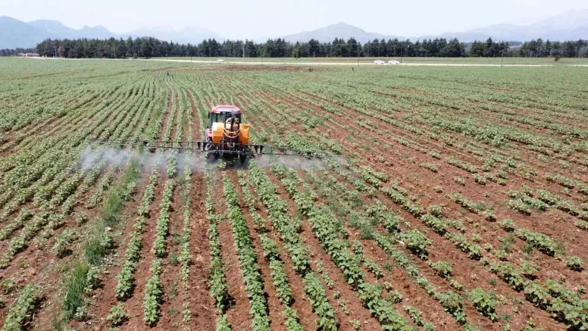 elita gida surdurulebilir tarimda basari elde etti JUOSQhXf