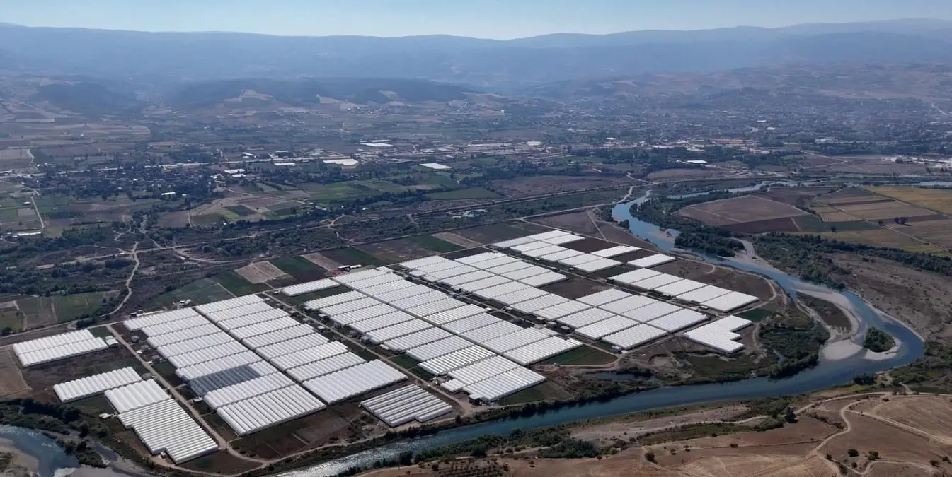 erbaada kesme cicek uretimi artiyor GyAXz94w