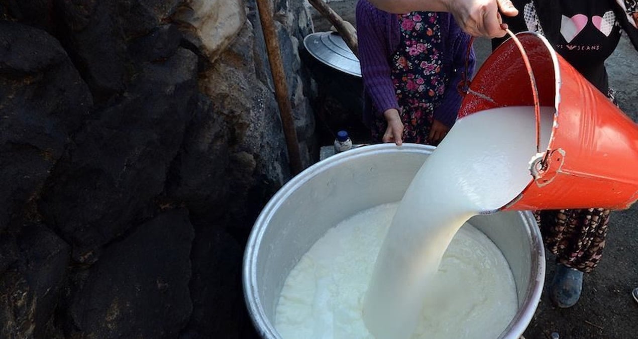 inek sutu miktari temmuzda artti z9daRENZ