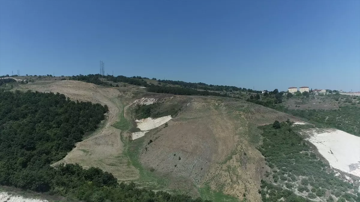 kocaelide 60 donume 4500 fidan dikilecek y4WRR7GC.jpg