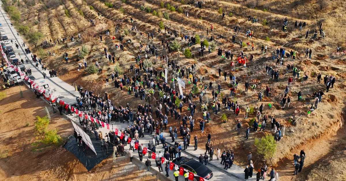 malatyada deprem sehitleri hatira ormani yenileniyor 4iZKCKHr.webp