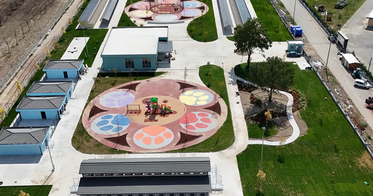 sakaryada sokak hayvanlarina guvenli yuva qd3VGraT