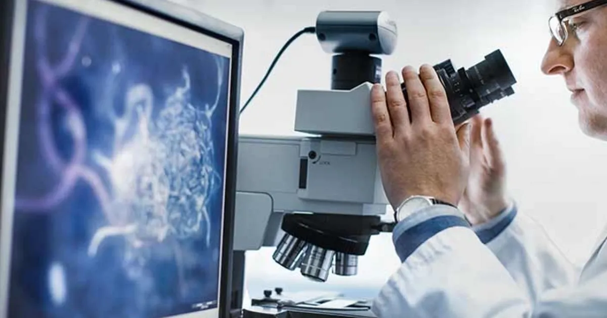 bilimsel arastirma gelistirme hizmetleri revacta Iz5u74X5.webp