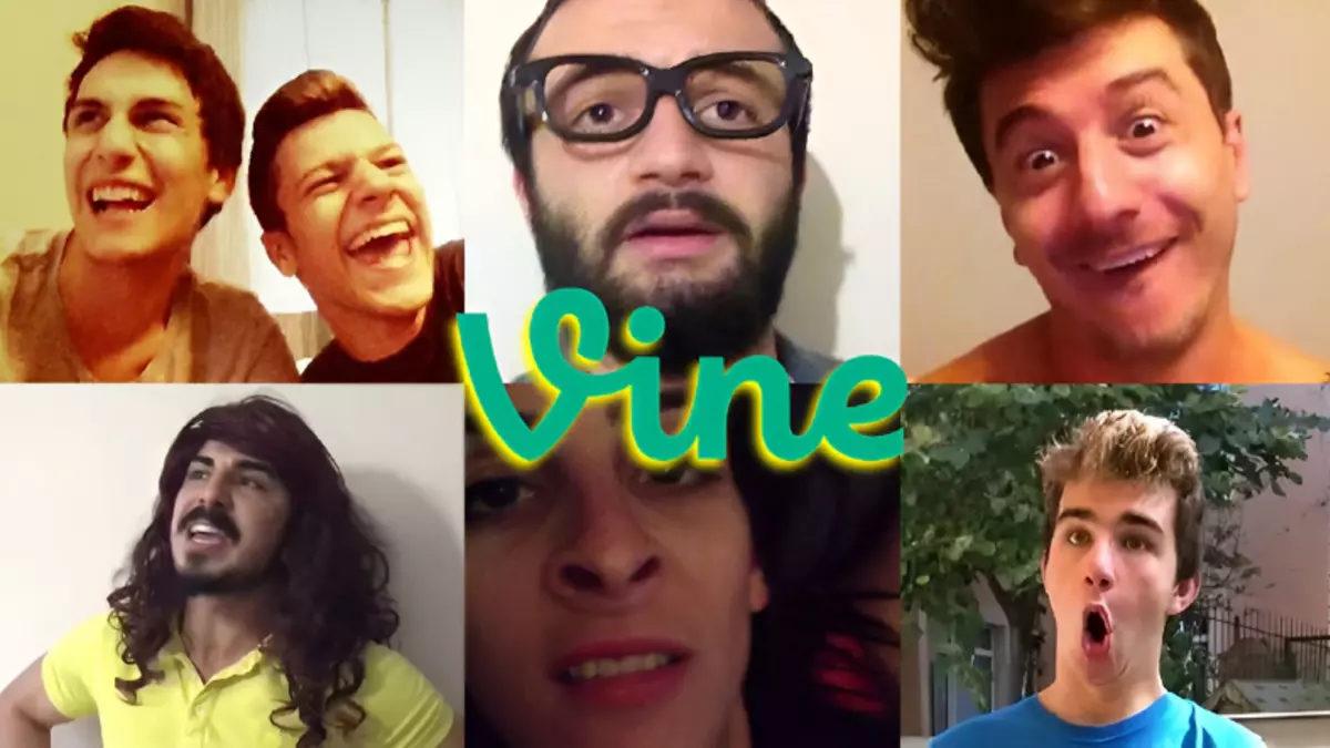vine
