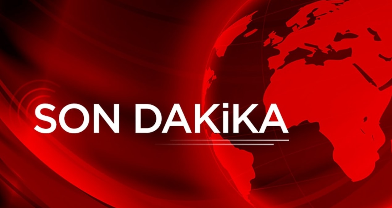 Tamar Tanrıyar hakkında Cumhurbaşkanına hakaret ve halkı yanıltıcı bilgiyi alenen yaymadan gözaltı kararı