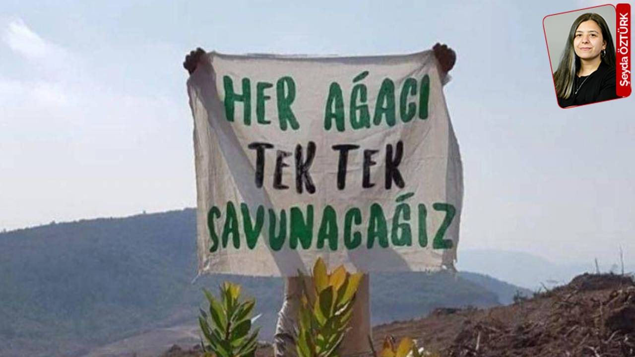 Kaz Dağları coğrafyasında yapılmak istenen madene karşı yurttaş kazandı: Koza’ya yargı freni
