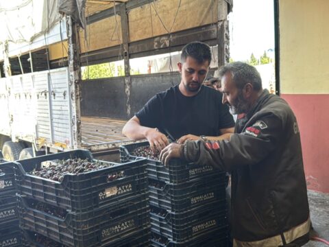 Fabrikalar siraya girdi hasat edilen urun 40 liradan kapisiliyor ACw298RB