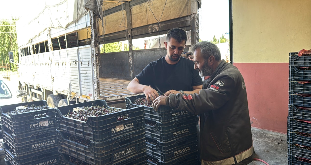 Fabrikalar siraya girdi hasat edilen urun 40 liradan kapisiliyor ACw298RB